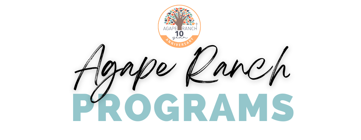 Agape Acts Volunteer Registration